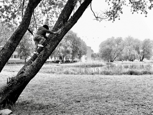 ребёнок взбирается на дерево